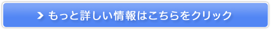 A}mt[Ŷɂイ߂it[YhCj̒ʔ̌̔TCg